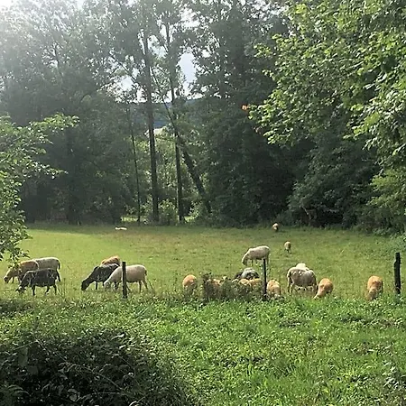 Nocleg ze śniadaniem La Terralha 3*